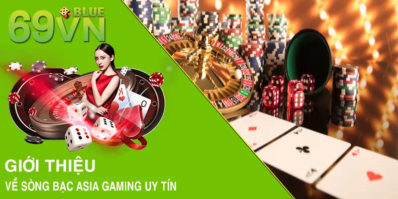 Giới thiệu về sòng bạc Asia Gaming uy tín